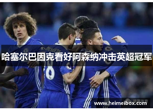 哈塞尔巴因克看好阿森纳冲击英超冠军